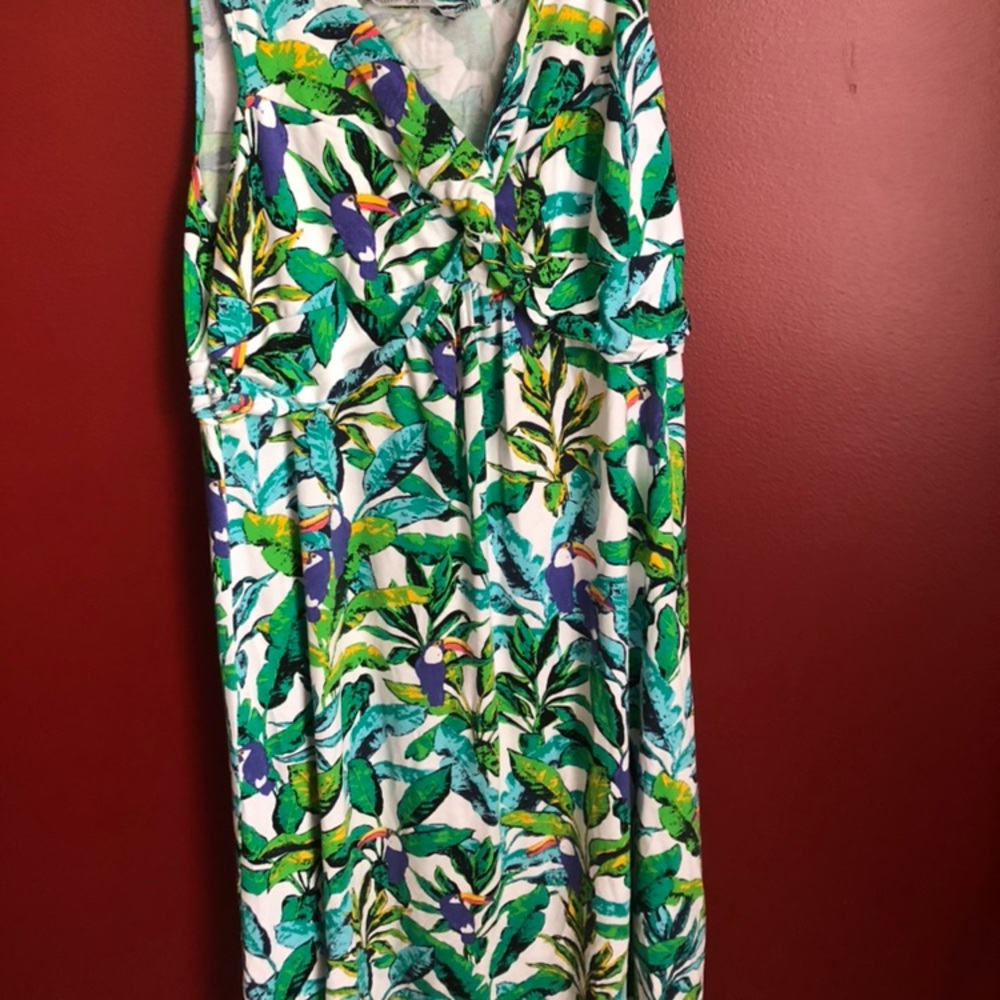 Tropical Bird Dress